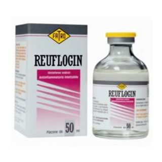 Reuflogin